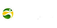 Br4Bet